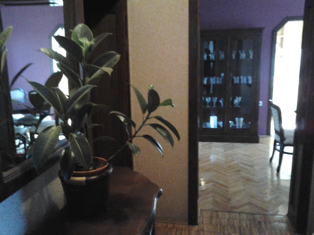 Apartments Jurasic Ogulin Extérieur photo